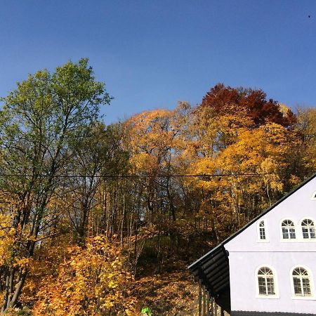UBYTOVÁNÍ u BRABANTÍKA Desná Exterior foto