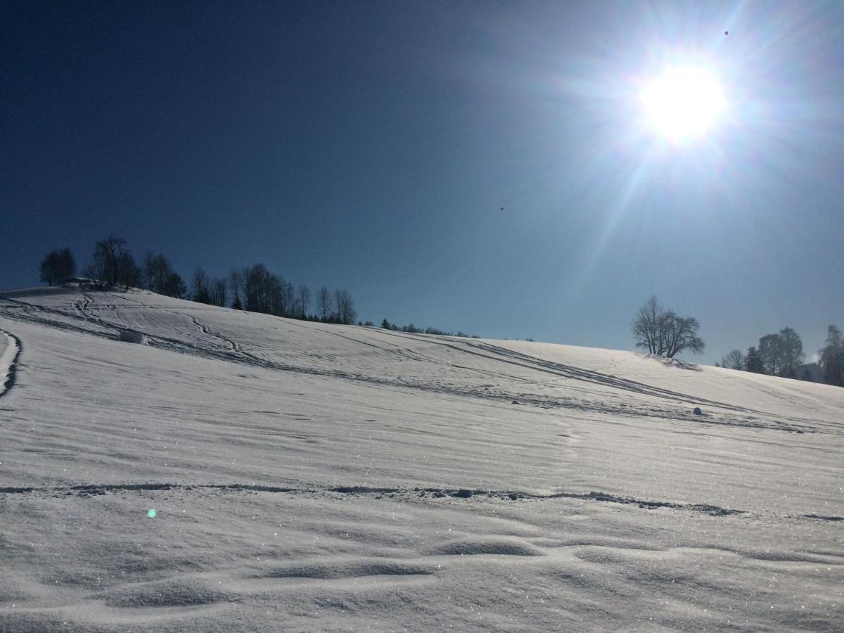UBYTOVÁNÍ u BRABANTÍKA Desná Exterior foto